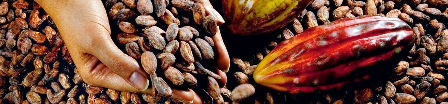 Home International Cocoa Organization