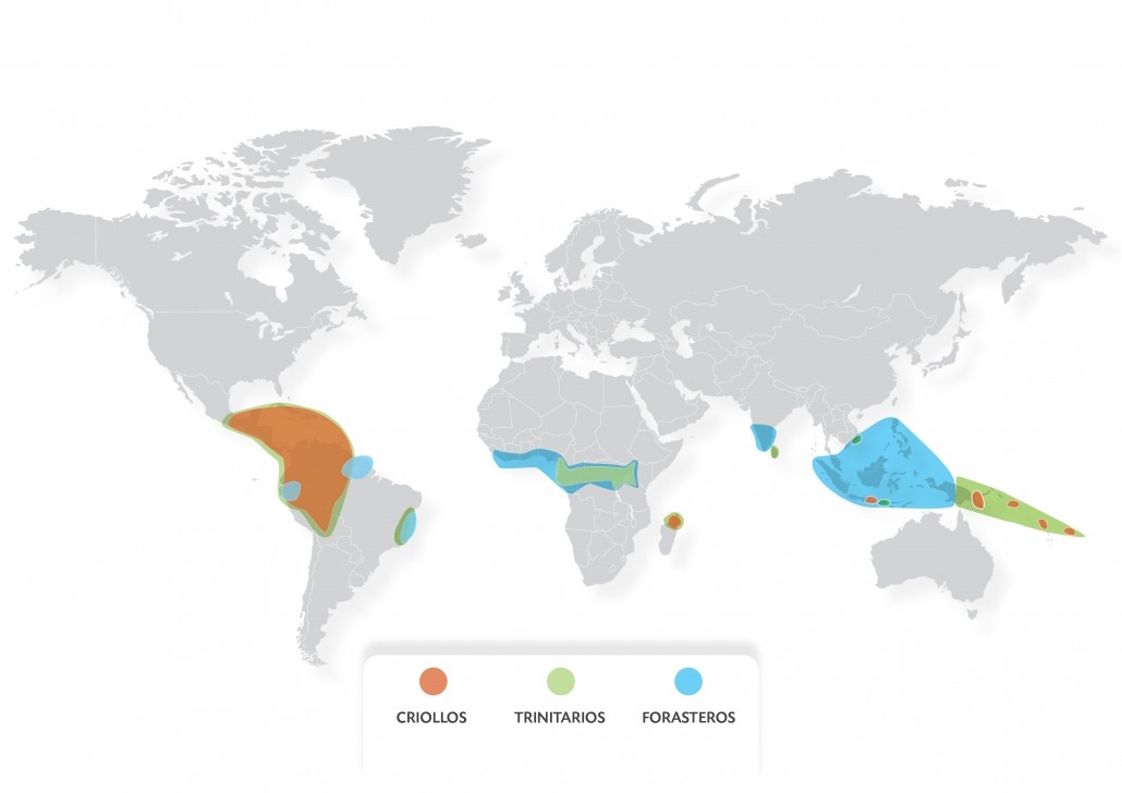 Growing Cocoa - Species map