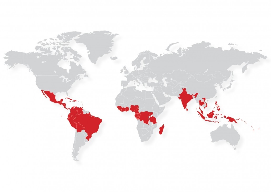 ICCO_producers_map