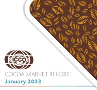 ICCO Monthly Cocoa Market Report - January 2023