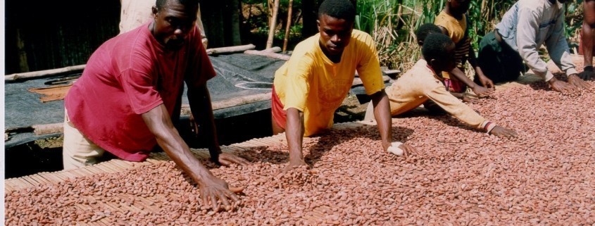 Capacity Building on Price Risk Management Strategy for Cocoa Smallholder Farmers in Africa